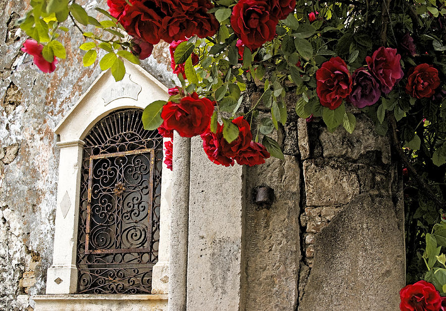 Rose Photograph - Church window by Dennis Cox