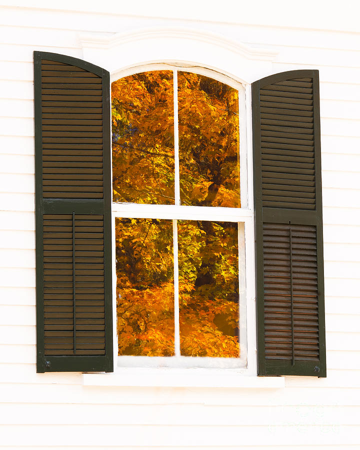 Church Window Foliage Photograph by Alan L Graham