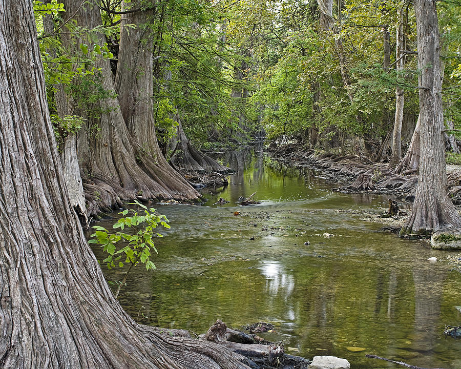 Cibolo Creek - 1 Photograph by Paul Riedinger