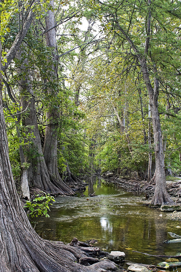 Cibolo Creek - 2 Photograph by Paul Riedinger