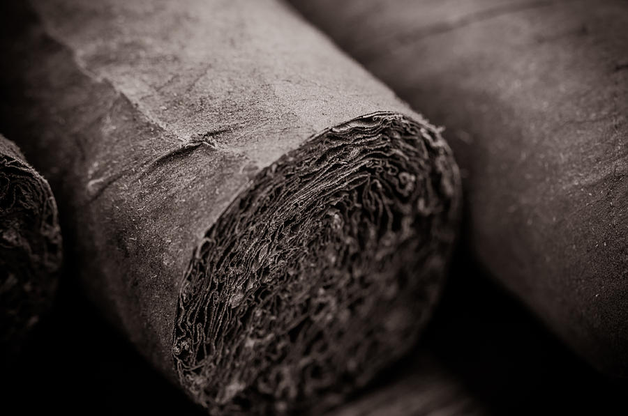 Cigar Close Up Photograph by Brandon Bourdages