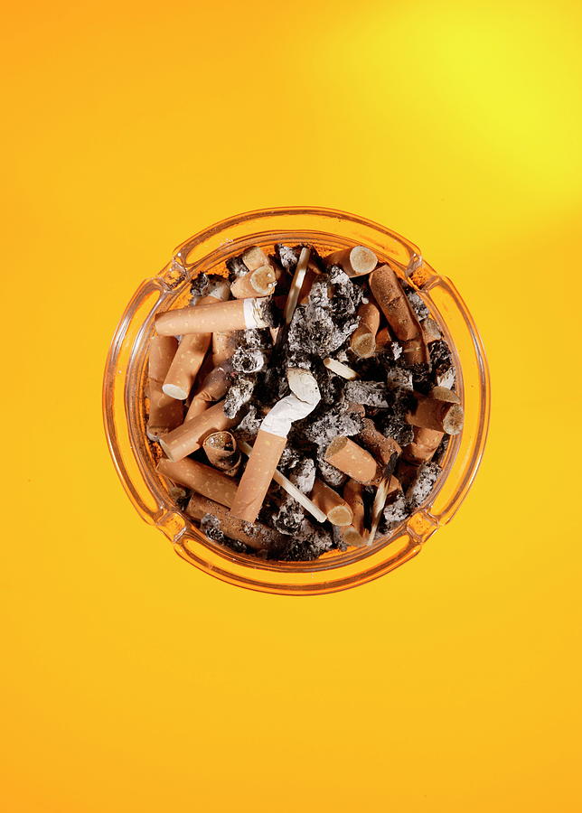 Cigarette Butts Photograph by Mark Sykes/science Photo Library