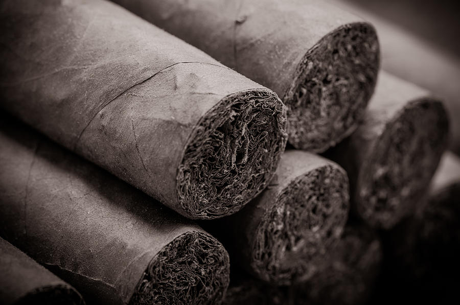Cigars Photograph by Brandon Bourdages