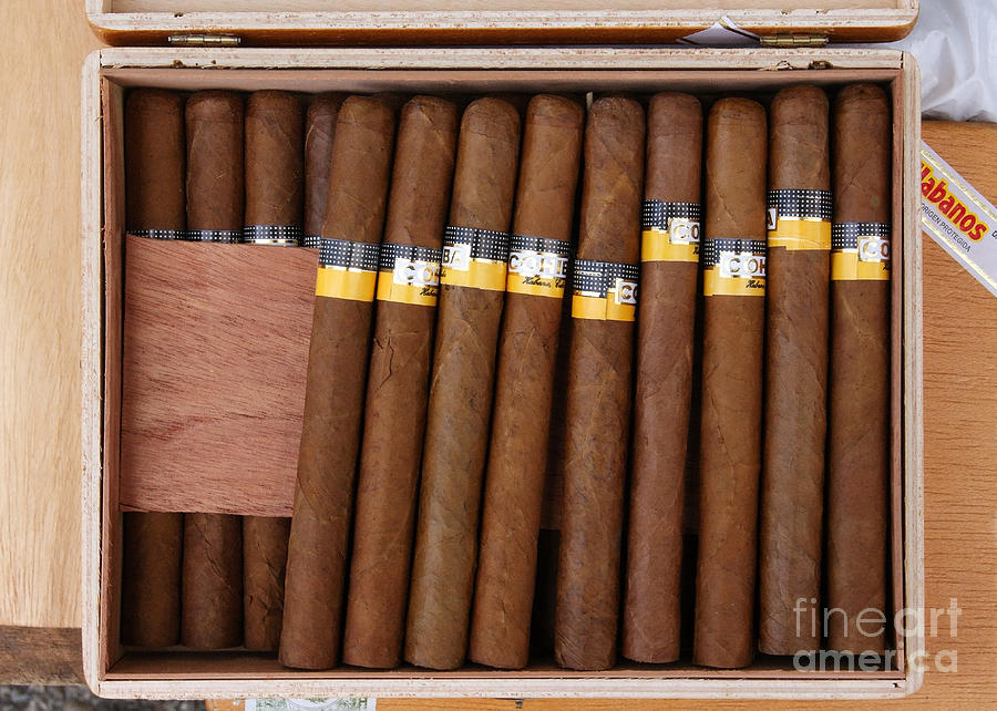 cigars from Cuba Photograph by Rudi Prott