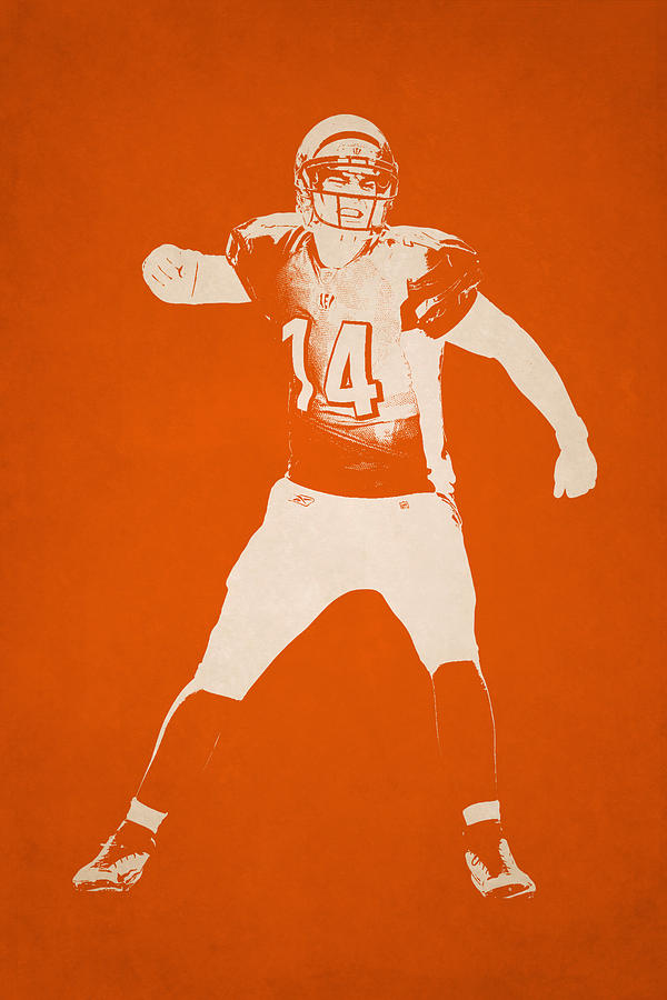 Cincinnati Bengals Shadow Player Photograph by Joe Hamilton