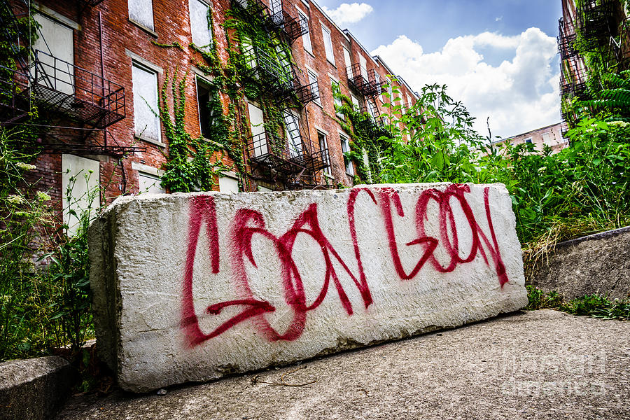 Cincinnati Glencoe Hole Graffiti Picture Photograph by Paul Velgos
