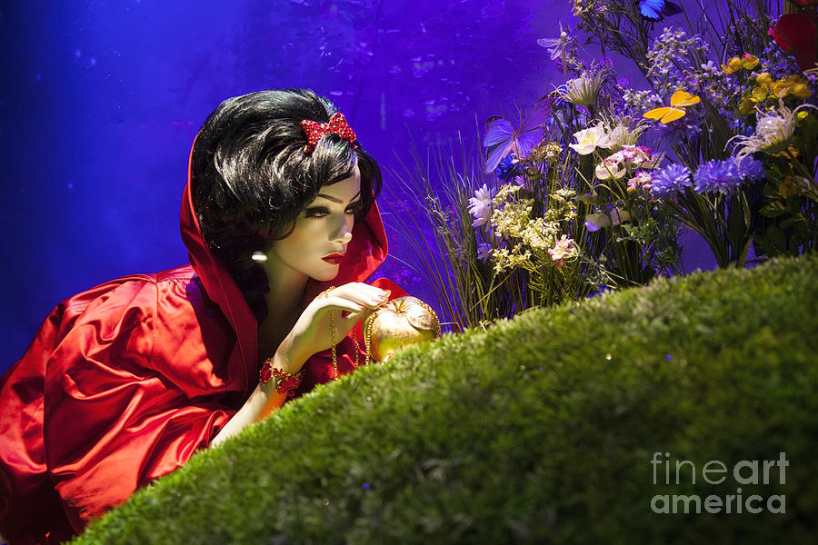 Christmas Photograph - Snow White by Brian Jannsen
