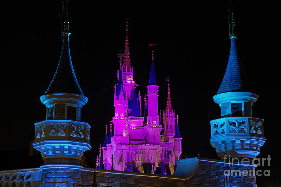 Cinderella Castle Photograph by AK Photography