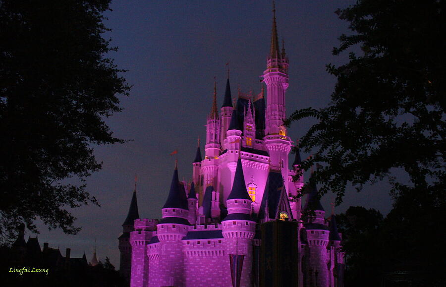 Cinderella Castle illuminated in pink glow Photograph by Lingfai Leung ...