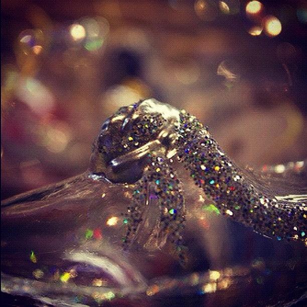 Cinderellas Glass Slipper Photograph by Jacqueline Anderson-Mendoza