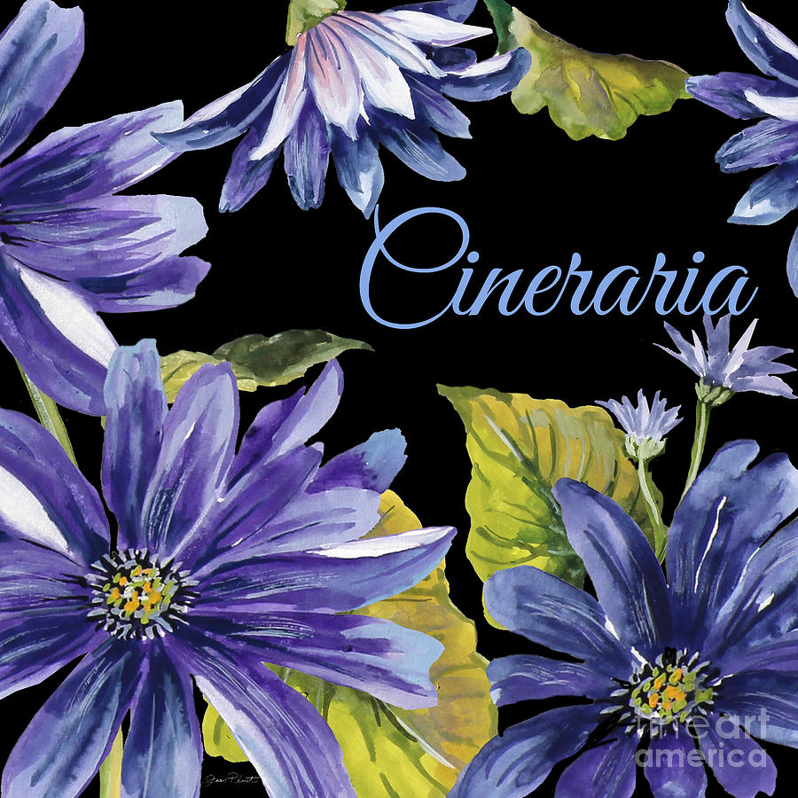 Cineraria-JP2594 Painting by Jean Plout