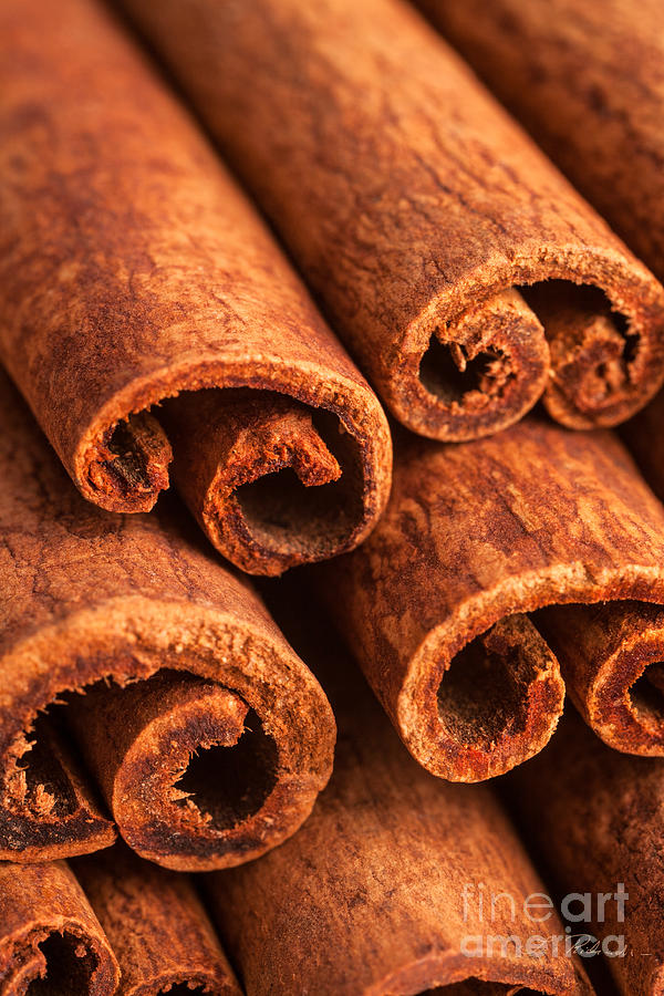 Cinnamon Bark Photograph - Cinnamon - Cinnamomum #2 by Iris Richardson