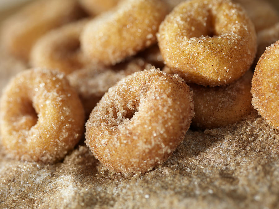 Cinnamon and Sugar Mini Donuts Photograph by LauriPatterson