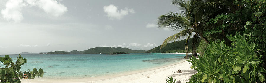 Virgin Islands Photograph - Cinnamon Bay Beach by Tropigallery -