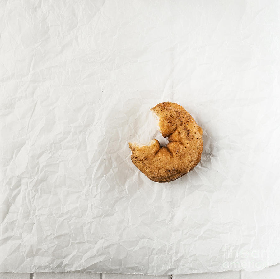 Donut Photograph - Cinnamon Donut With A Bite Removed by Gillian Vann
