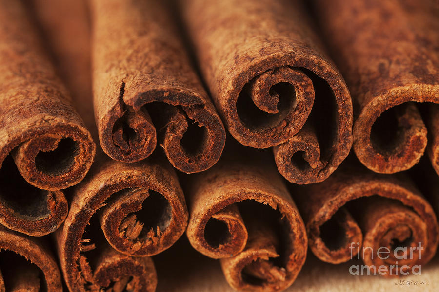 Cinnamon Photograph - Cinnamon Sticks by Iris Richardson
