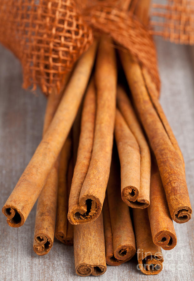 Cinnamon Photograph - Cinnamon sticks by Shawn Hempel