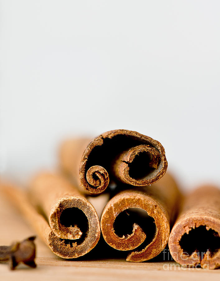 Spices Photograph - Cinnamons and Clove by Ivy Ho