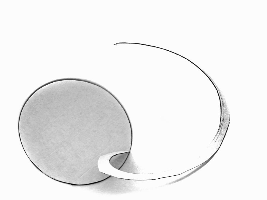 Circle Curl In Mono Photograph