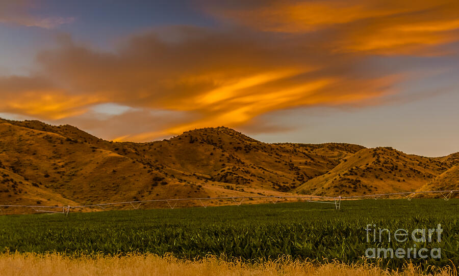 Circle Of Corn At Sunrise Photograph by Robert Bales - Fine Art America