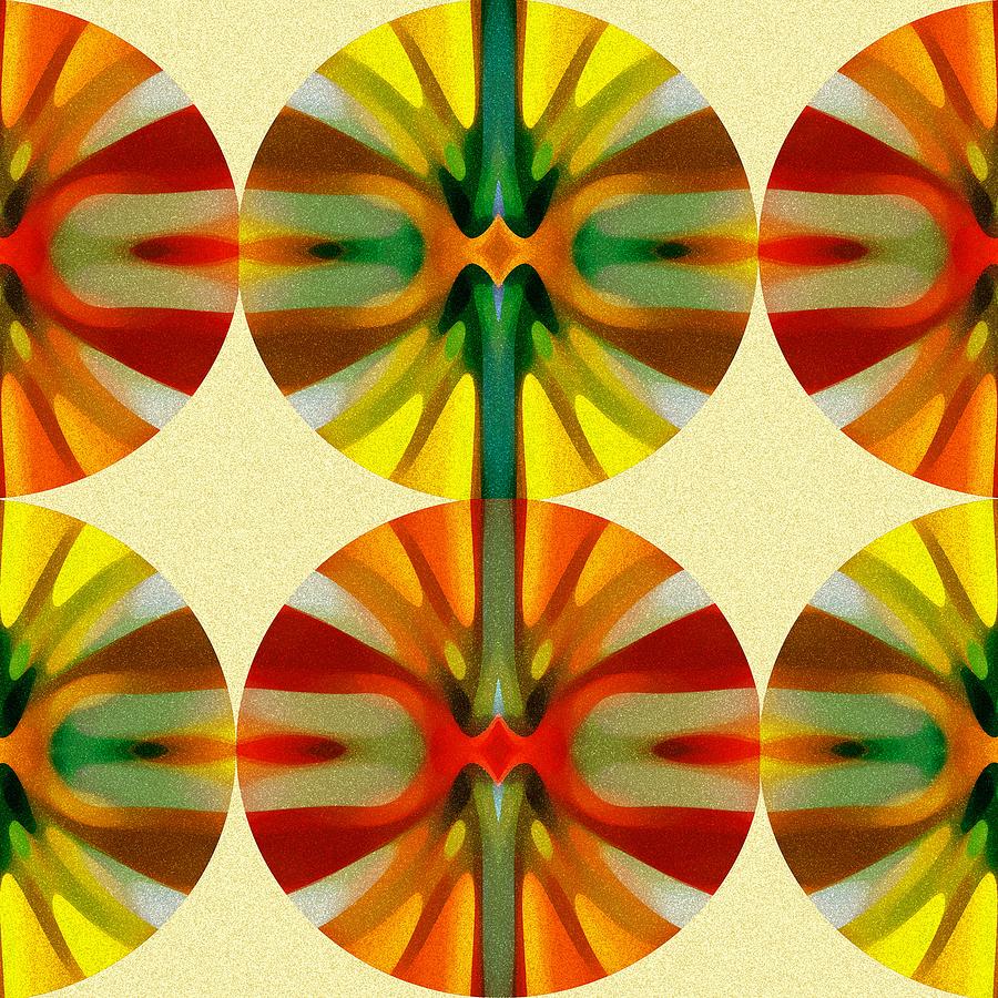 Circle Pattern 1 Digital Art by Amy Vangsgard