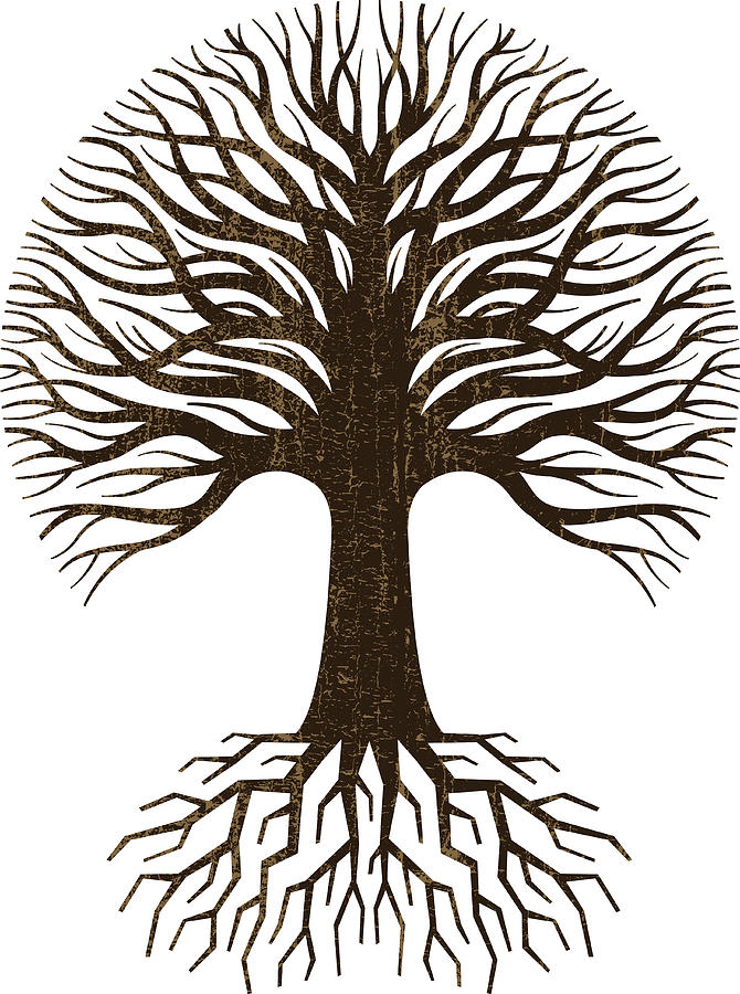 Circular tree and roots logo Drawing by Jonathan Woodcock