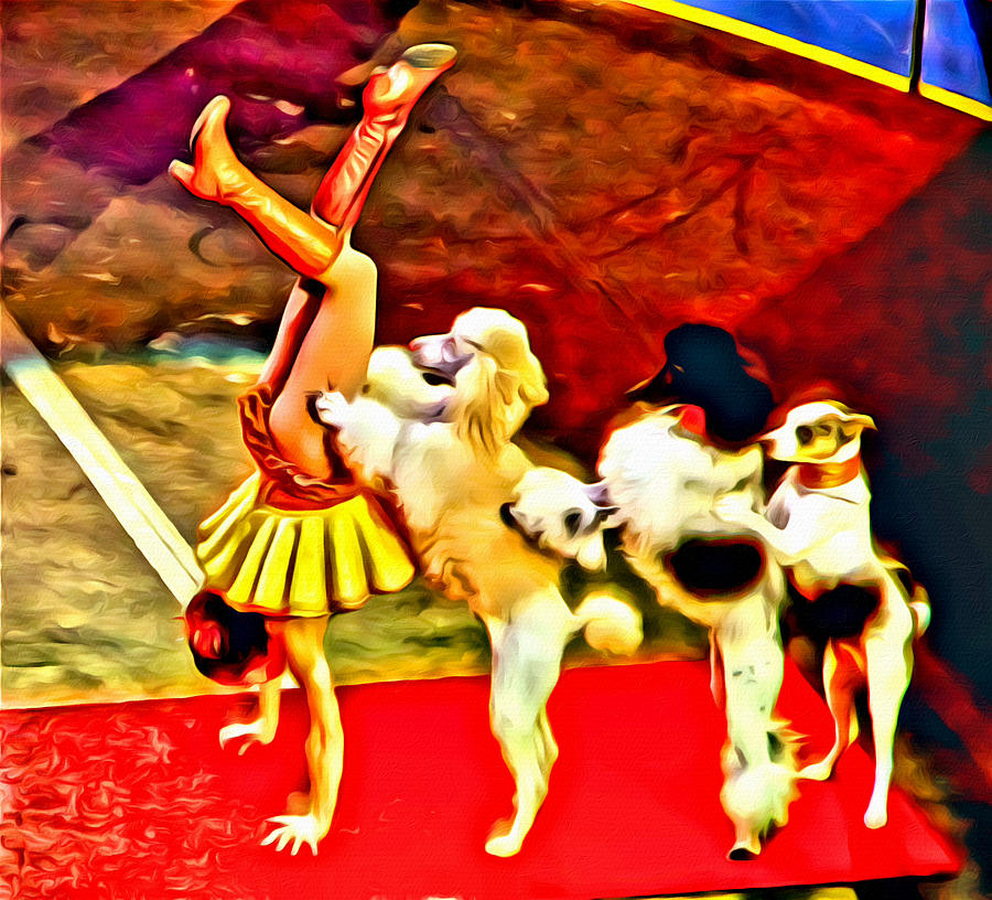 Circus Dog Act Photograph by Alice Gipson