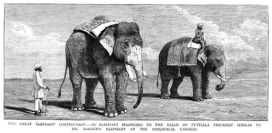 Circus Elephants, 1884 Painting by Granger - Fine Art America