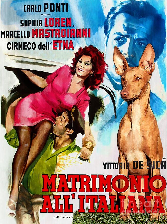 Cirneco dell Etna Art Canvas Print - Matrimonio All Italiana Movie Poster Painting by Sandra Sij
