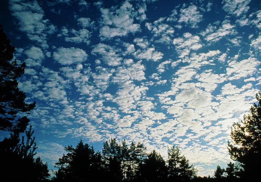 Cirrocumulus Clouds Forming A Mackerel Sky Photograph by Pekka Parviainen/science Photo Library