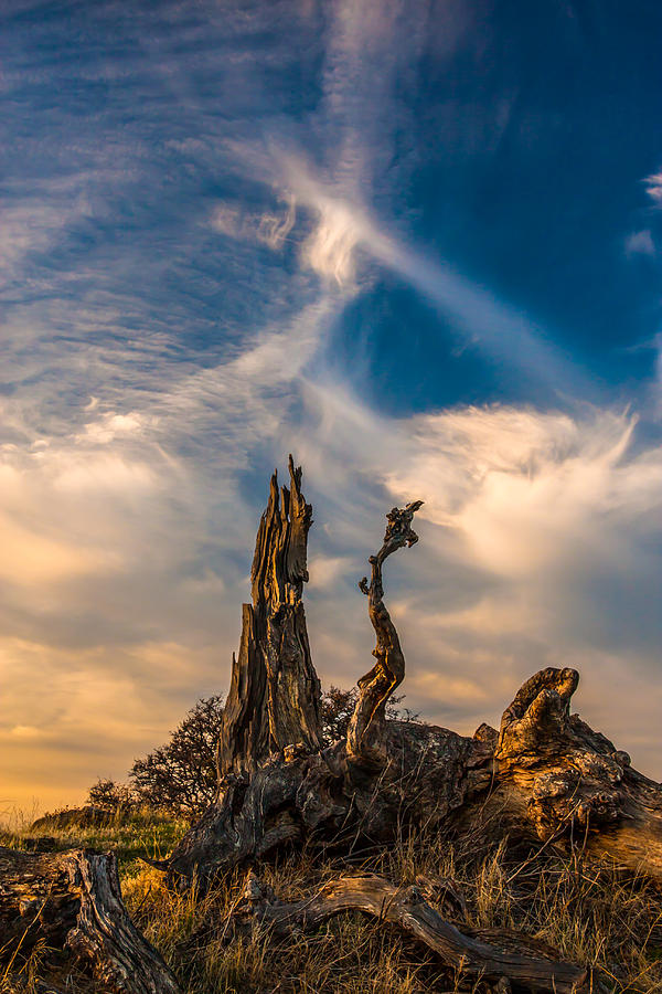 Cirrus Clouds At Sunset Vertical Photograph by Marc Crumpler