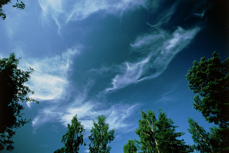 Cirrus Clouds In The Sky Photograph by Pekka Parviainen/science Photo Library