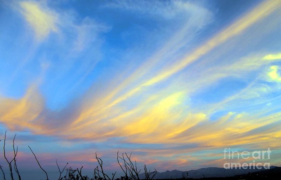 Catalina Cirrus Clouds Photograph by Jerry Bokowski