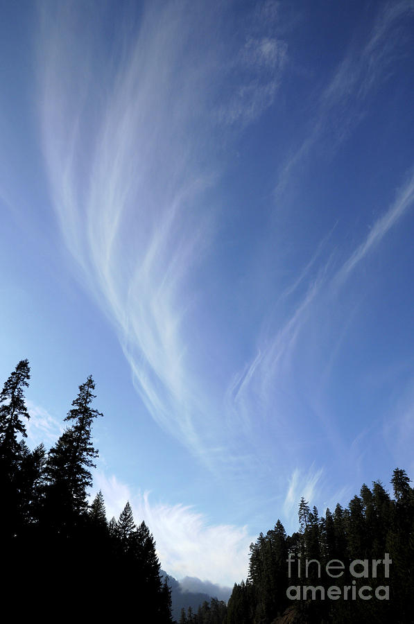 Cirrus Clouds Photograph by Robert and Jean Pollock