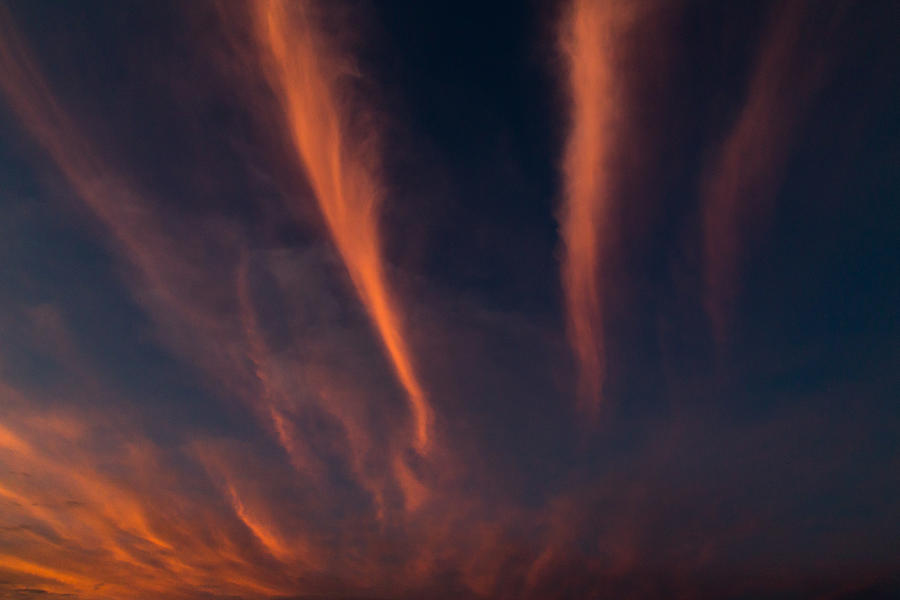 Sunset Photograph - Cirrus by John Daly