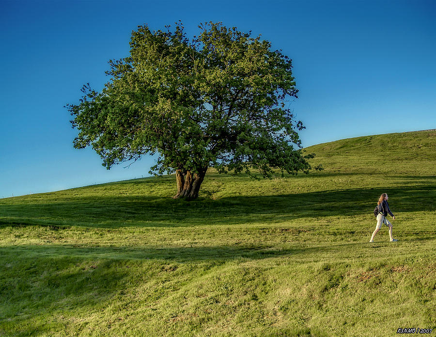 Summer Photograph - Citadell Hill Stroll by Ken Morris