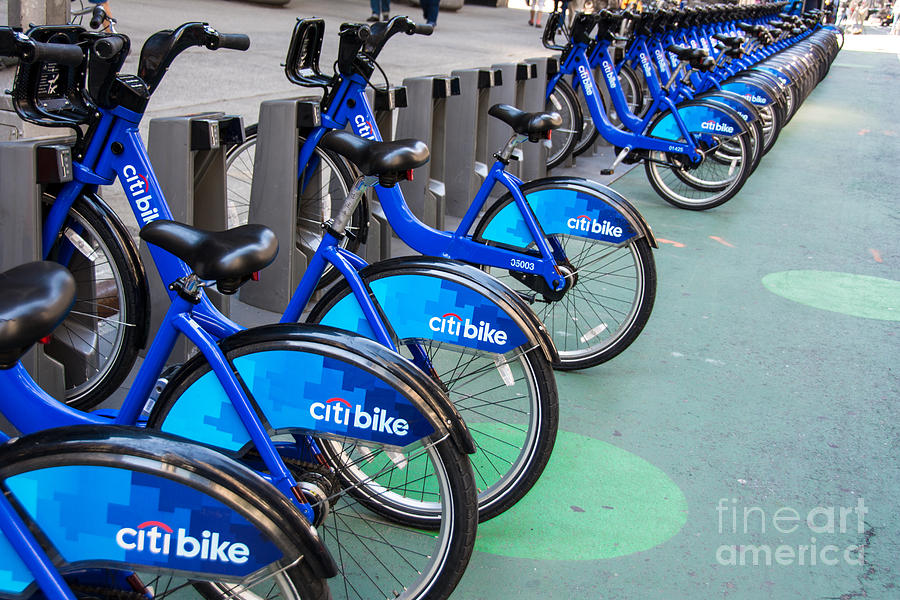 New York City Photograph - Citibike rentals NYC by Amy Cicconi