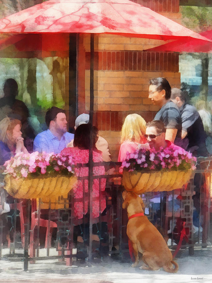 Hoboken NJ - Dog Waiting by Cafe Photograph by Susan Savad