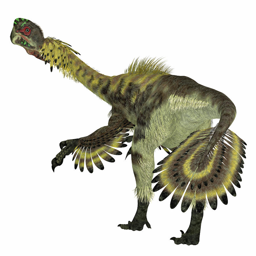 citipati dinosaur