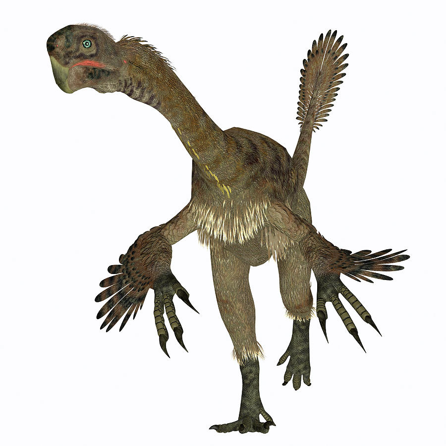 velociraptor female