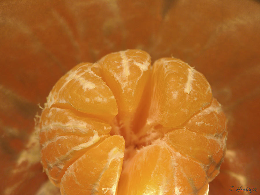Citrus Bowl  Photograph by Joseph Hedaya