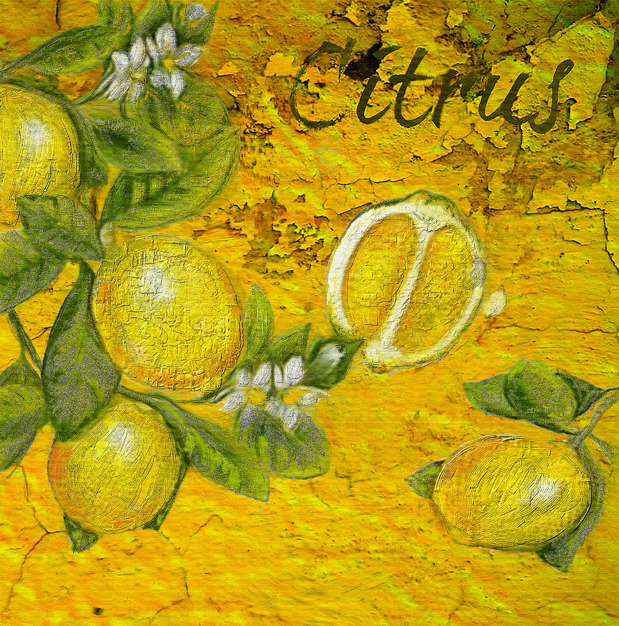 Lemon Painting - Citrus by Portraits By NC