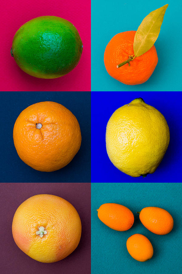 Citrus Fruits Photograph by Philippe Garo