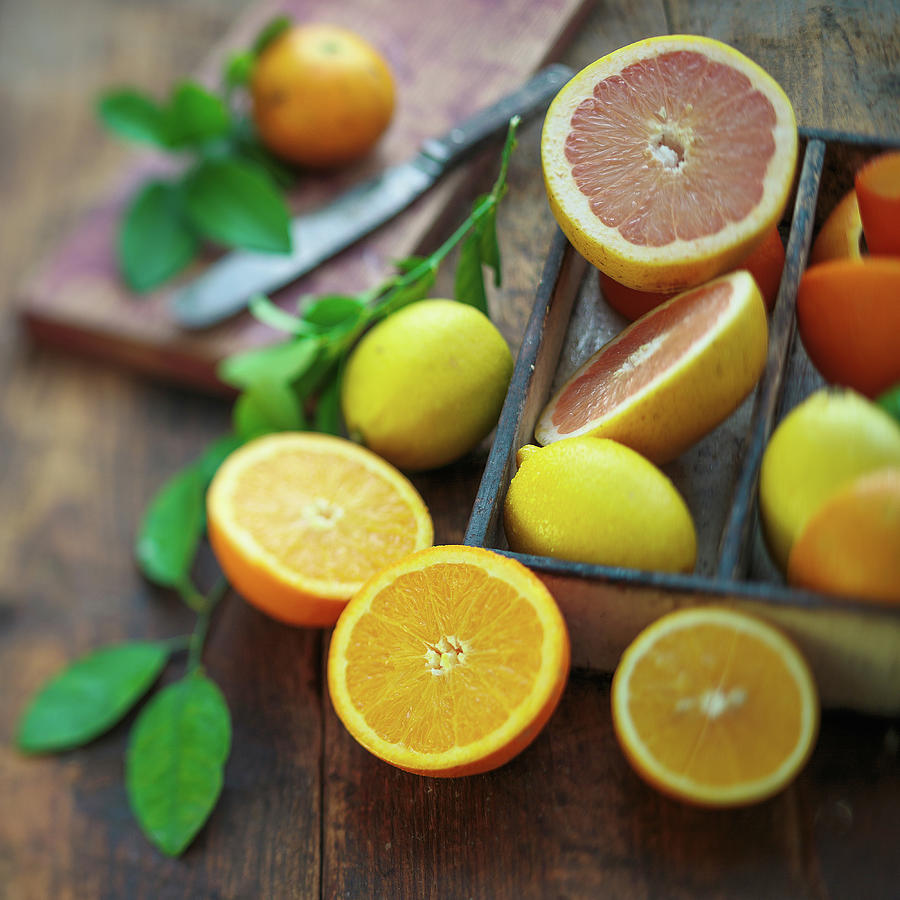 Citrus Fruits Photograph by Thepalmer