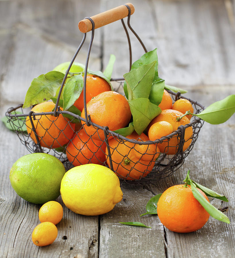 Citrus In A Basket Photograph by Julia Khusainova