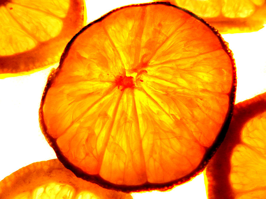 Citrus Slices Photograph