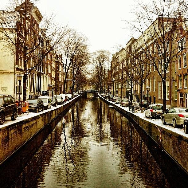 Tree Photograph - #city #amsterdam #canal #trees #houses by Elisabeth  Ostreng