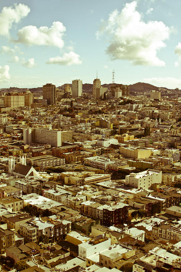 Coit Views - San Francisco, California Photograph by Melanie Alexandra Price