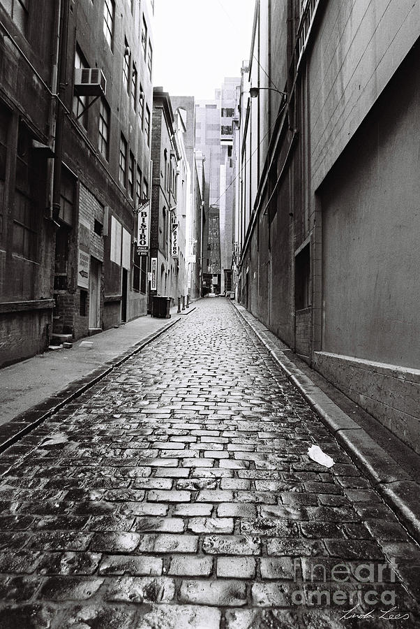 Black And White Photograph - City Lane Melbourne by Linda Lees