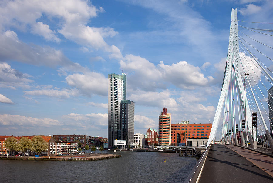 City of Rotterdam from Erasmus Bridge Photograph by Artur Bogacki